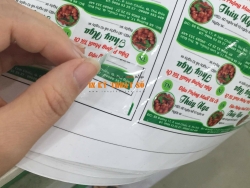 In decal giá rẻ HCM